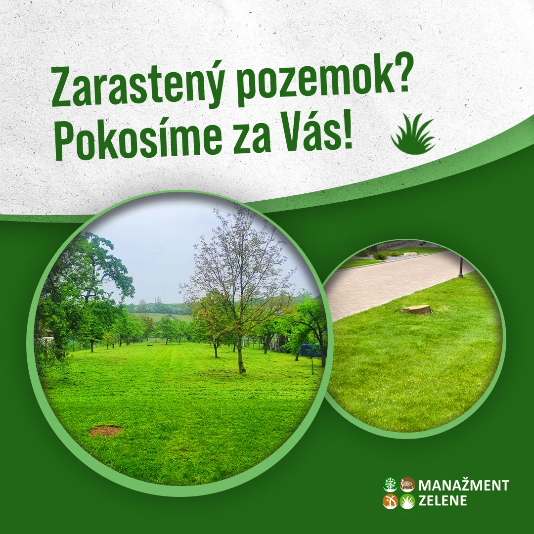 artivo. grafika pre Manažment Zelene — vizuál Zarastený pozemok? Pokosíme za Vás! — kosenie zarastených pozemkov a kompletný servis údržby zelene