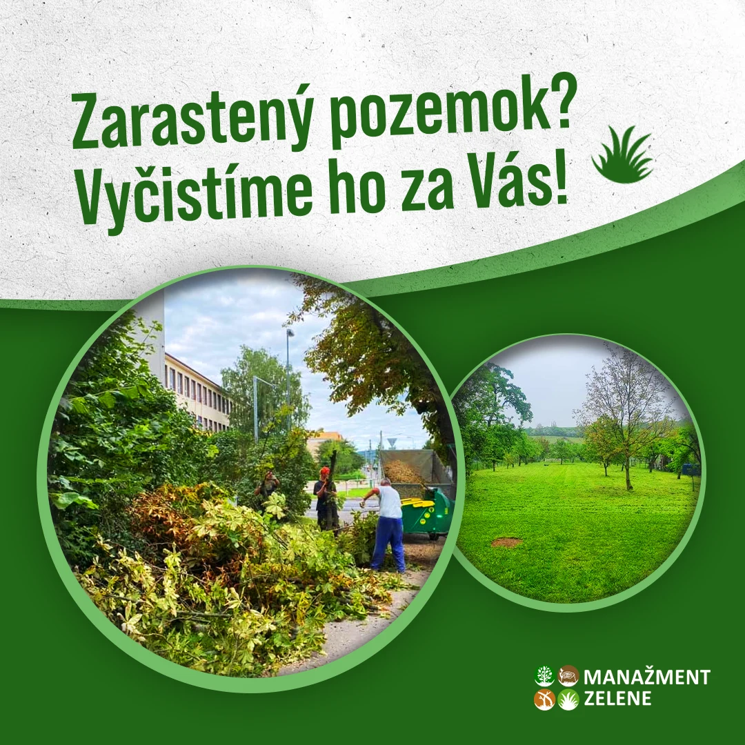 artivo. grafika pre Manažment Zelene — vizuál Zarastený pozemok? Vyčistíme ho za Vás! — kompletné vyčistenie a údržba pozemkov